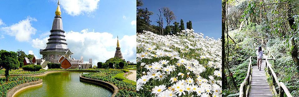 Doi Inthanon