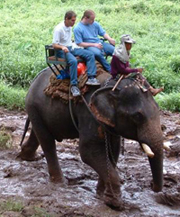 Safari Image