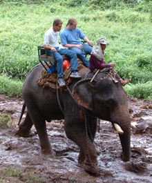 Safari